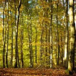 2 Leadership Imperatives in a Difficult Season