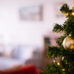 What to Do With Christmas Trees, Halloween, Meat Offered to Idols, and New Year’s Celebrations